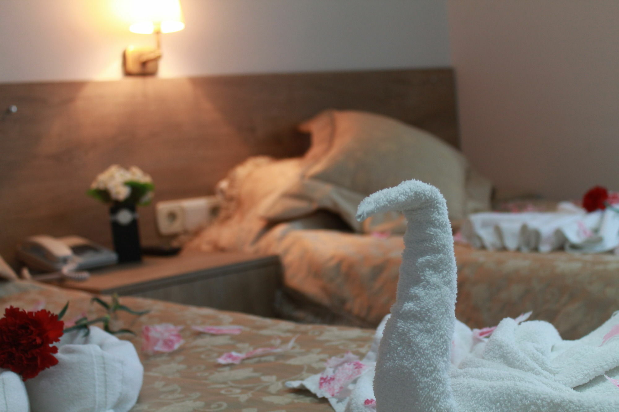 Rozza Hotel Istambul Exterior foto A towel swan